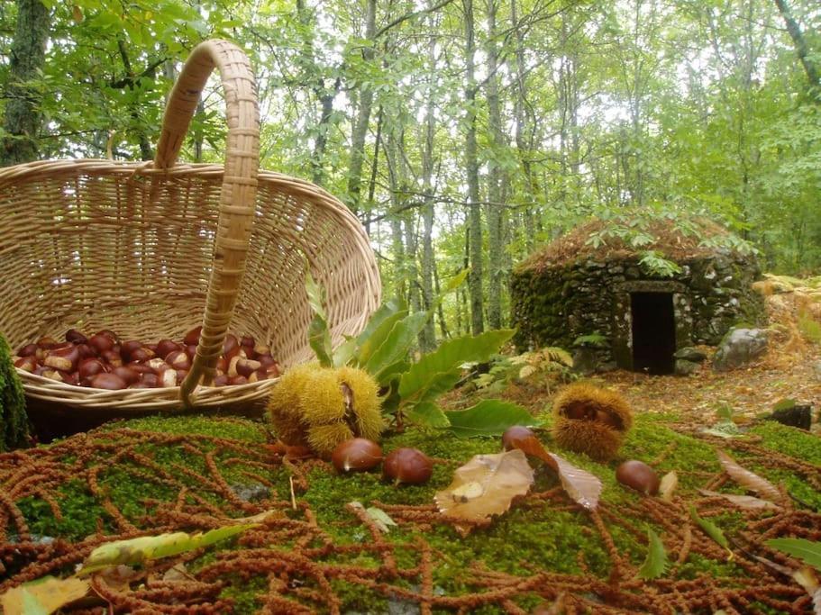 Casa Rural Margarita I Montánchez Екстериор снимка